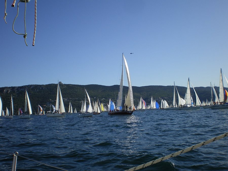 Le barche a vela della Barcolana nel golfo di Trieste